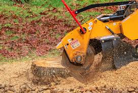 Best Stump Grinding and Removal  in Santa Rita Ranch, TX